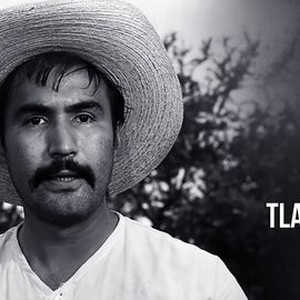 Tlayucán Rotten Tomatoes