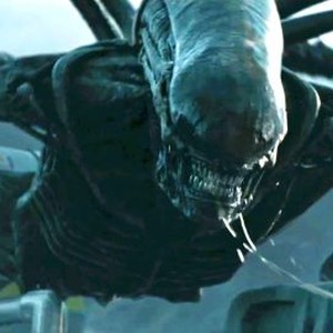 Every Movie in the Alien Franchise, Ranked by Rotten Tomatoes