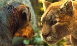 A Dog's Way Home: Official Clip - Big Kitten Returns
