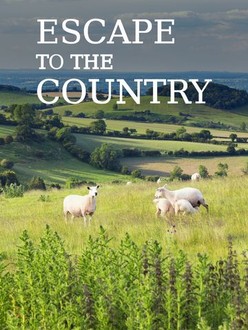 Netflix escape to new arrivals the country