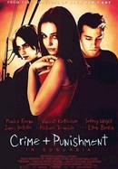 Crime and Punishment in Suburbia poster image