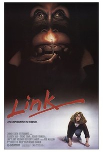 Poster for Link
