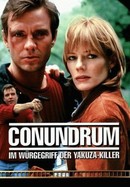 Conundrum poster image