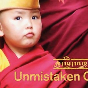 Unmistaken Child photo 13