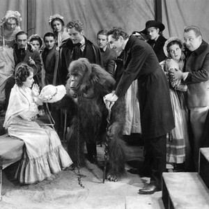 MURDERS IN THE RUE MORGUE, Sidney Fox, Leon Waycoff [Ames], Charles Gemora, Bela Lugosi, Bert Roach, 1932, gorilla