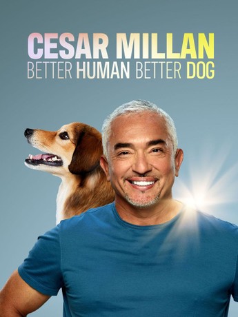 Cesar millan hot sale possessive dog