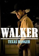 Walker, Texas Ranger: Trial by Fire poster image