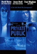 The Private Public poster image