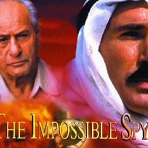 The Impossible Spy photo 6