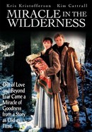 Miracle in the Wilderness poster image