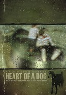 Heart of a Dog poster image