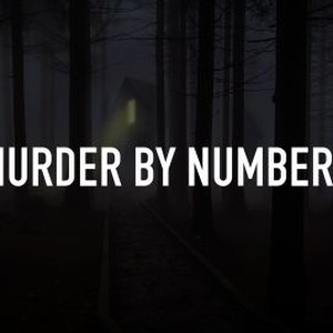 Murder by Numbers photo 4