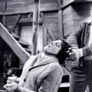 Deathtrap (1982) photo 11