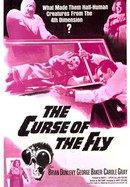 The Curse of the Fly poster image