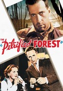 The Petrified Forest poster image