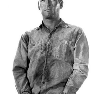 COOL HAND LUKE, Paul Newman, 1967