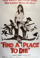 Find a Place to Die poster image
