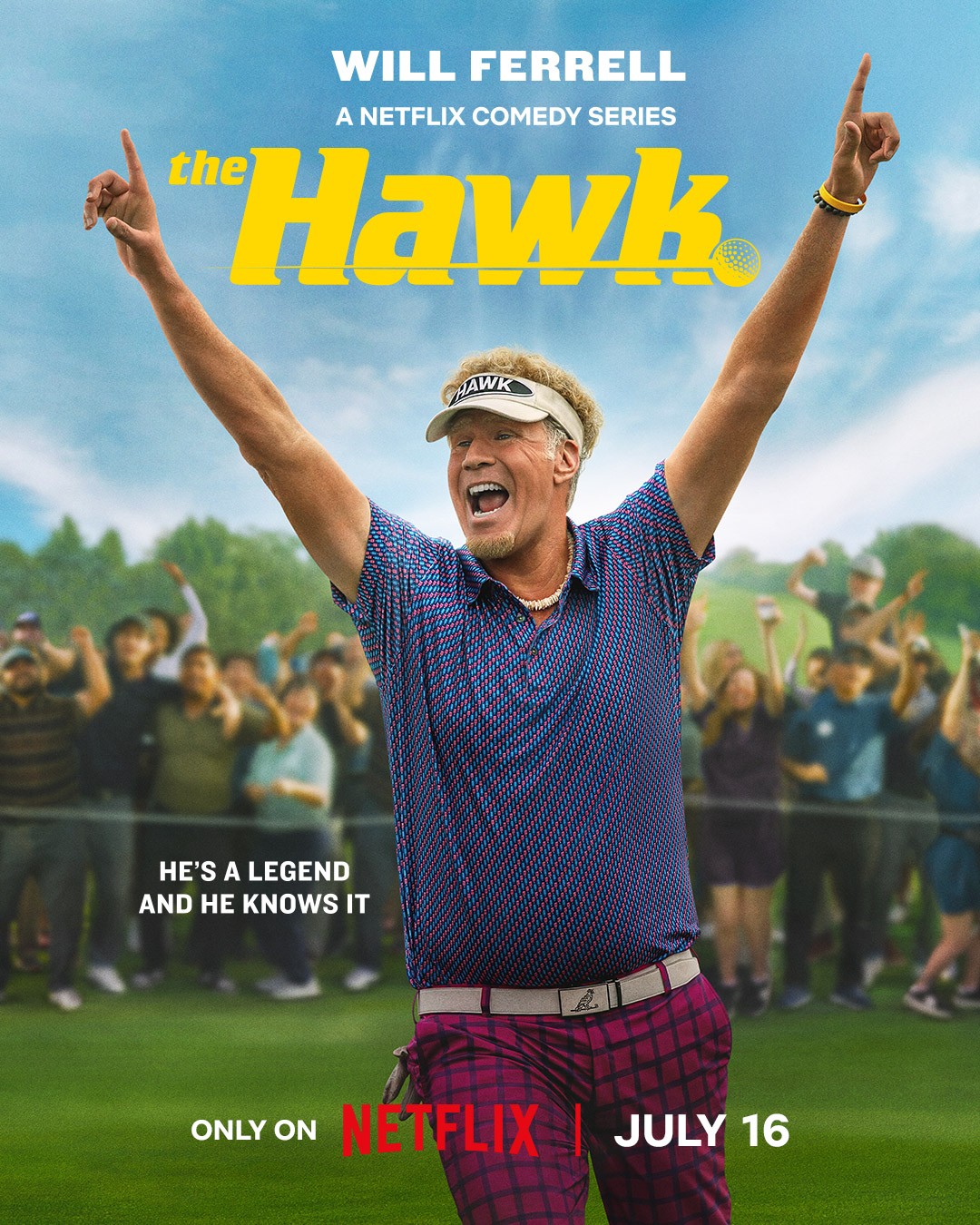 The Hawk | Rotten Tomatoes