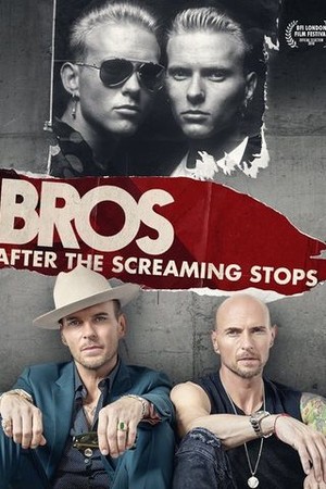 After the Screaming Stops poster