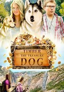 Timber the Treasure Dog poster image