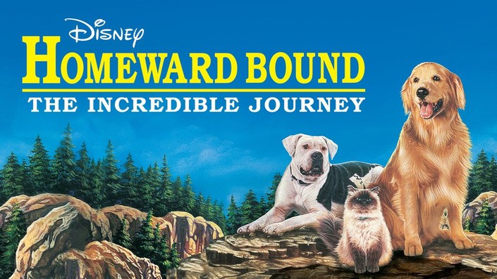 Homeward Bound: The Incredible Journey | Rotten Tomatoes