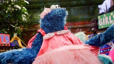 white christmas dresses Girls Sesame Street 1st Birthday Outfit, Cake Smash Outfit  Needles Knots  n Bows