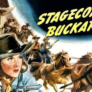Stagecoach Buckaroo photo 4