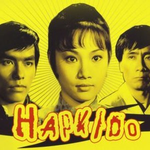 Hapkido Rotten Tomatoes