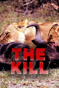 The Kill | Rotten Tomatoes