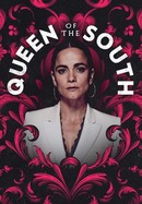 Queen of the South poster image