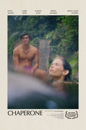 Chaperone poster