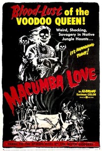 Watch trailer for Macumba Love