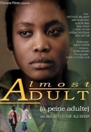 Almost Adult poster image