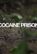 Cocaine Prison poster image