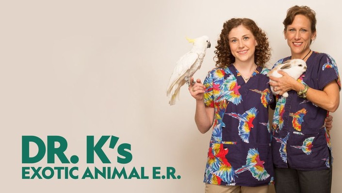 Avian and exotic animal hospital dr kelleher sales