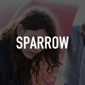 Sparrow photo 8