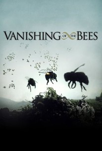 Poster for Vanishing of the Bees