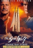 The Sea Wolf poster image