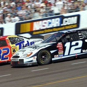 NASCAR (2004) photo 4