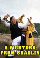 Five Fighters From Shaolin poster image