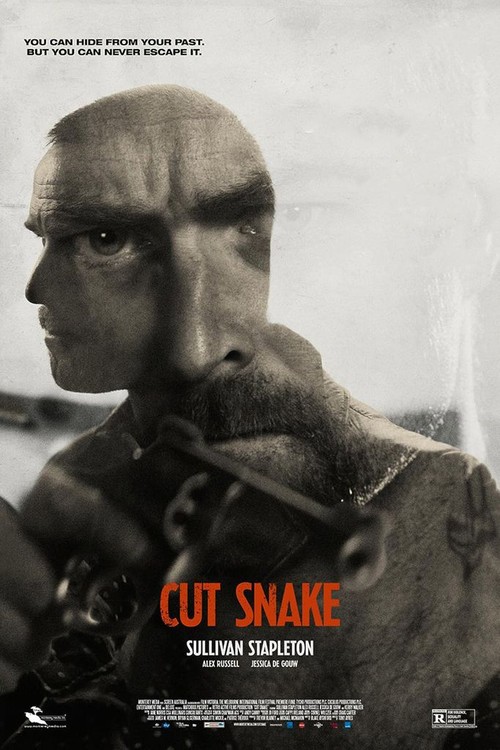 Cut Snake poster