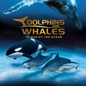 Dolphins and Whales: Tribes of the Ocean photo 8