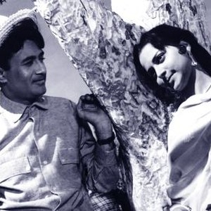 Guide (1965) photo 4