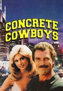 The Concrete Cowboys poster image