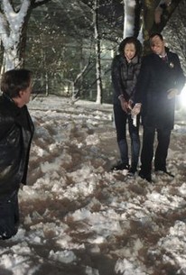 Blue Bloods Season 4 Episode 16 Rotten Tomatoes