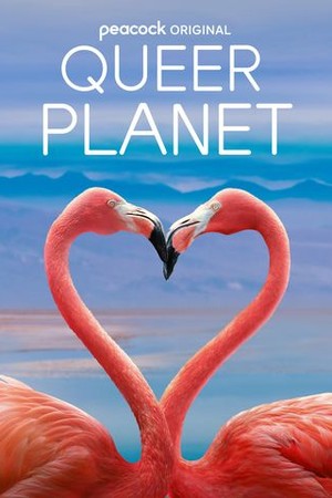 Queer Planet poster