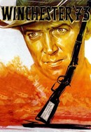 Winchester '73 poster image