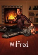 Wilfred poster image
