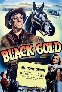 Watch trailer for Black Gold
