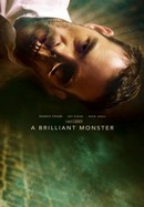 A Brilliant Monster poster image